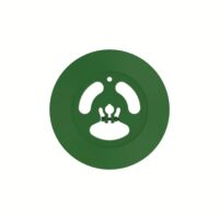 Шкив AH202493 DL Оригинал ЕС 137 952 — изображение 12