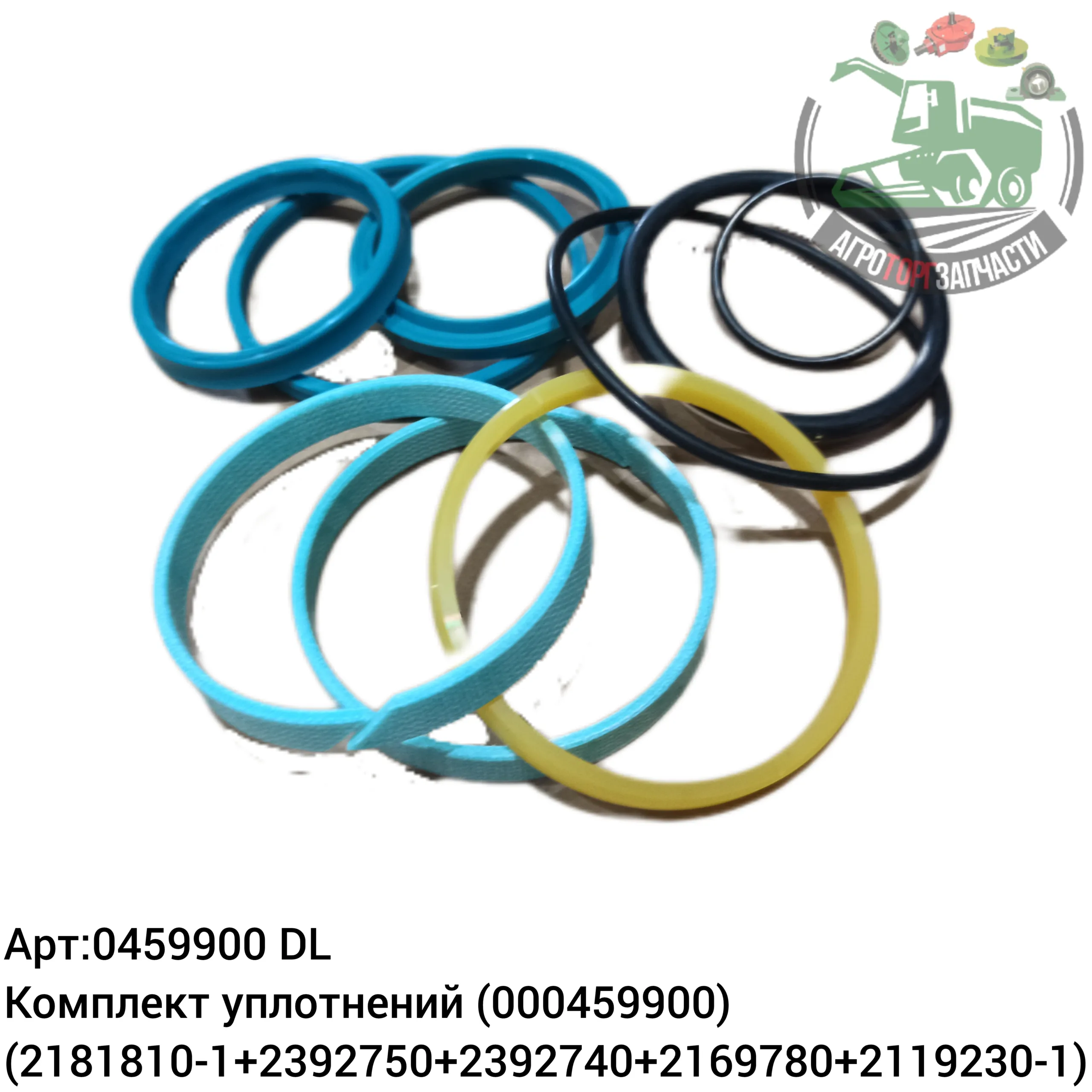 0459900 scaled jpg