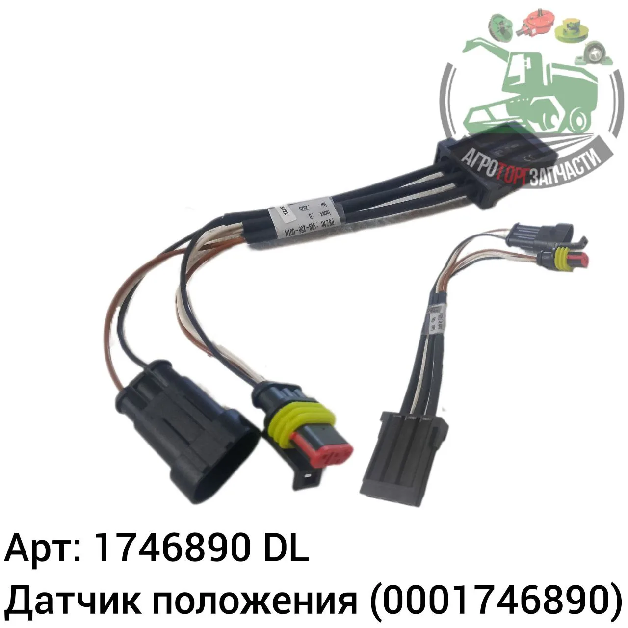 1746890 dl jpg