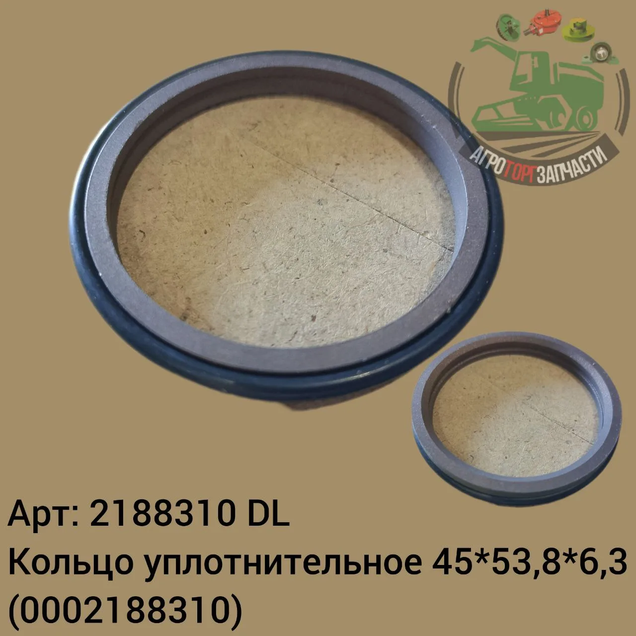 2188310 jpg
