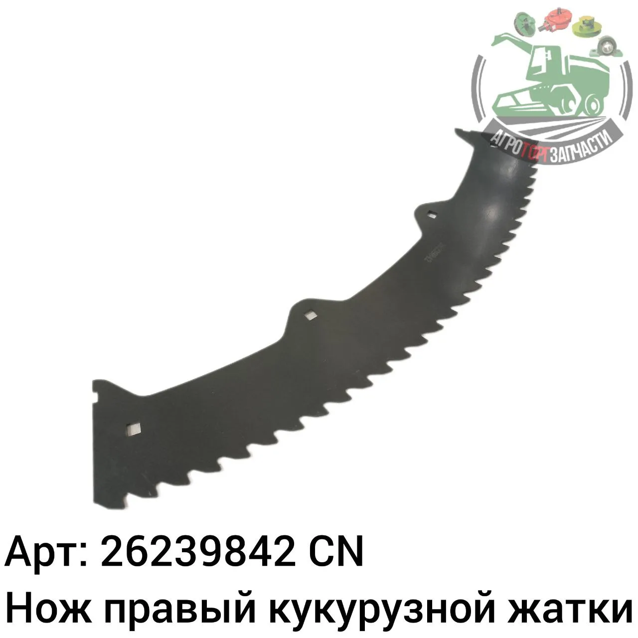 26239842 jpg