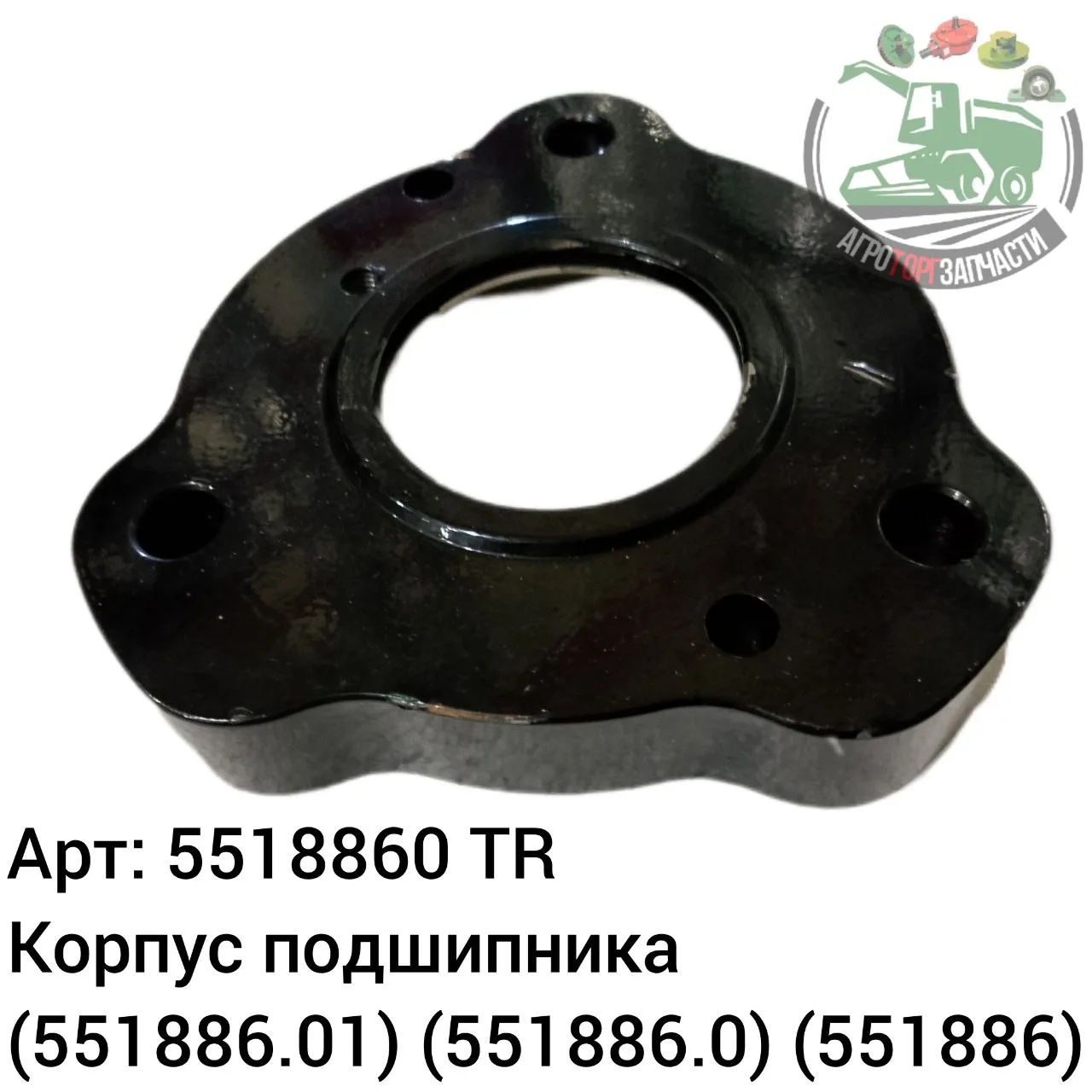 5518860 jpg
