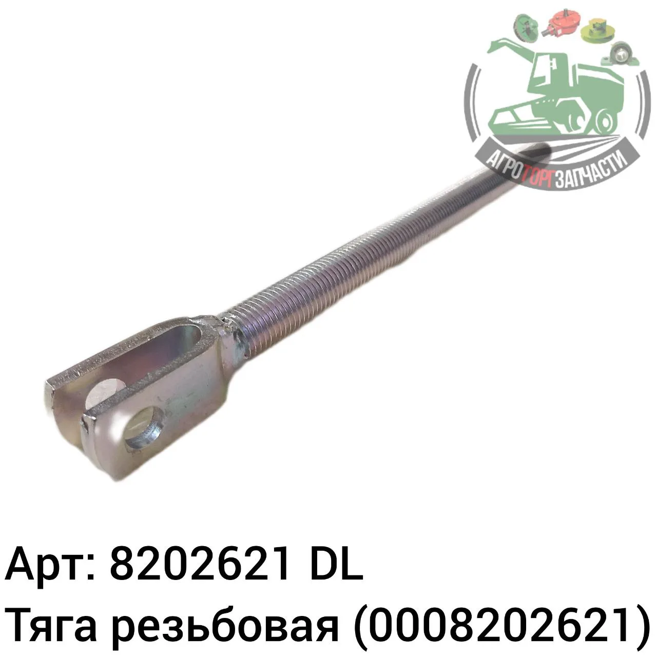 8202621 jpg