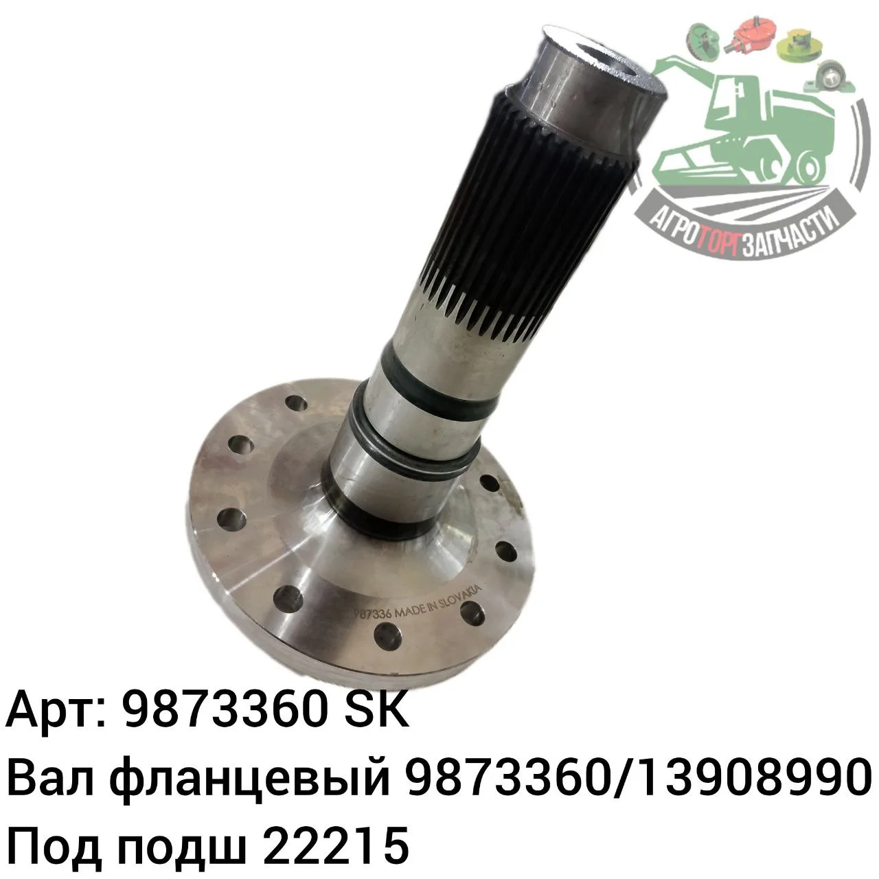9873360 jpg