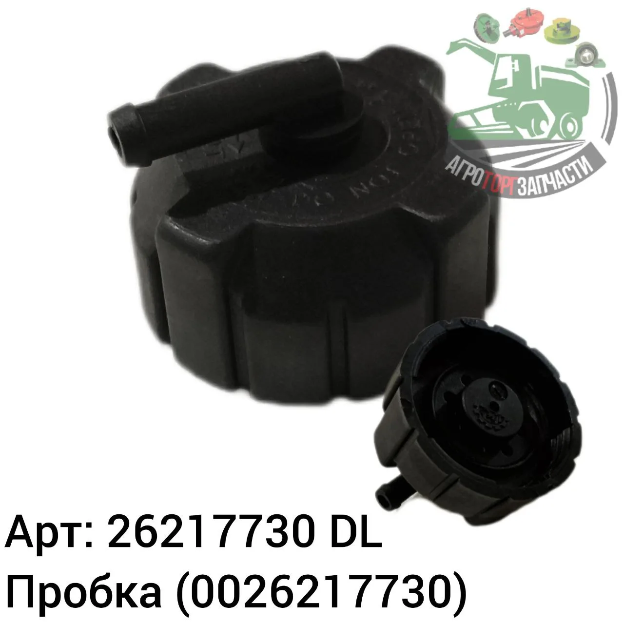 26217730 dl jpg