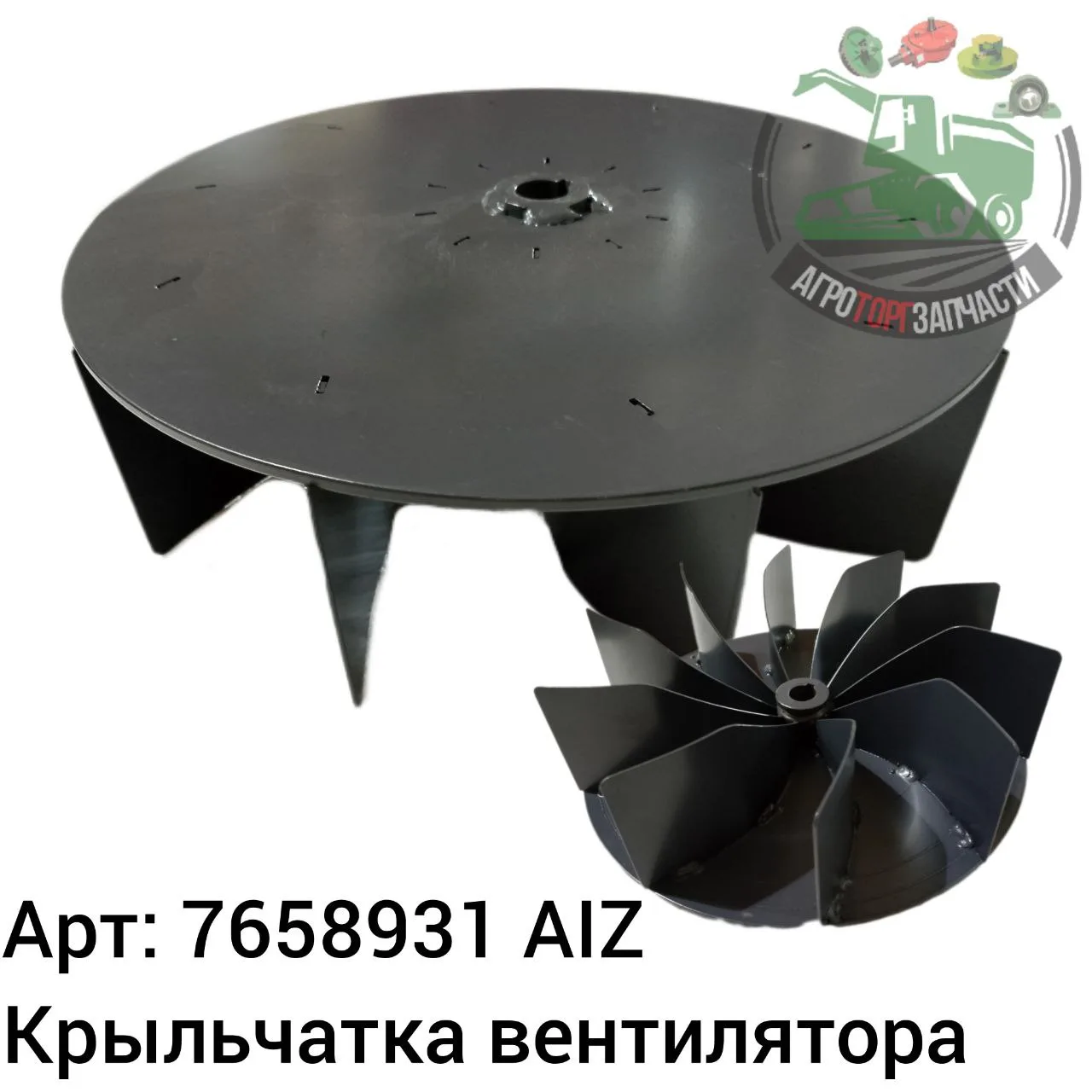7658931 aiz jpg