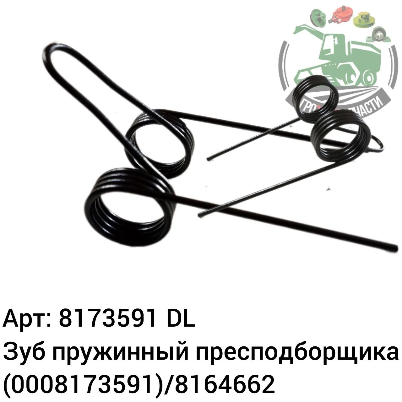 8173591 dl jpg